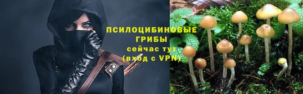 spice Белоозёрский