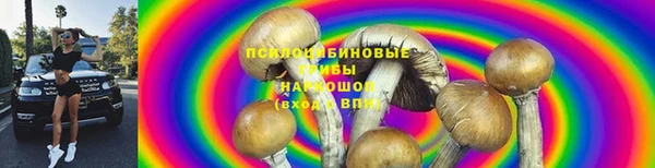 герыч Михайловск