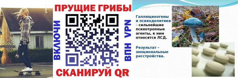 Галлюциногенные грибы Psilocybe Чудово